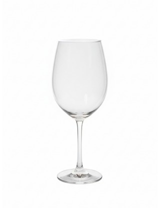 Spiegelau Wine Glass