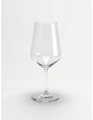 Rastal Harmony 53 Wine Glass