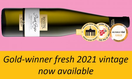 Trentino Pinot Grigio IMV 2021, Ca'Vit -   Fresh Vintage, Fresh Awards 