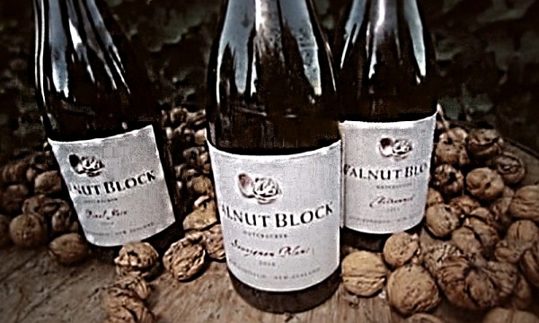 NZ harvest season at Walnut Block winery
