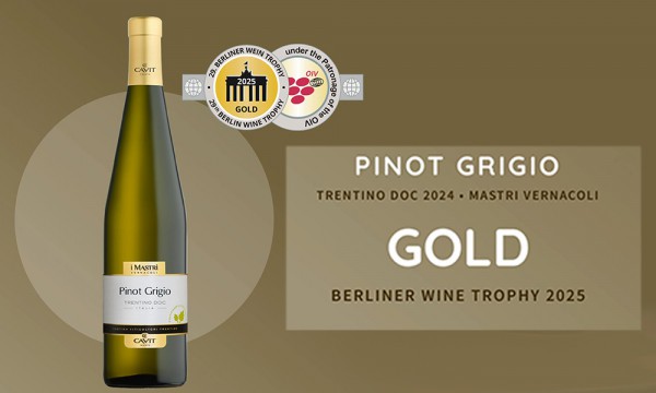 2024 Cavit Pinot Grigio IMV wins Gold Berliner 